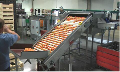 Fachaux - Roller Elevator Conveyor