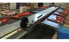 Fachaux - Calib Fruit High-Yield Grading Machine