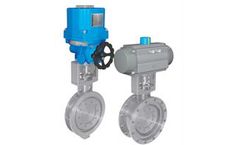 Triple Eccentric Butterfly Valve