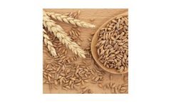 Precision moisture analysis instruments for rapid moisture analysis for foods