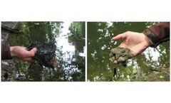 Promic - High-Quality Feed Protein