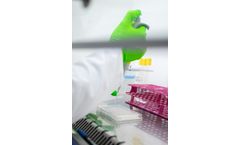 Molecular Monitoring - Molecular Monitoring Services (qPCR, QuantArray, in Situ Microcosms, SIP,...)