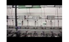 SUNLIGHT | Solutions for Motive Power Batteries in Delhaize Serbia Video