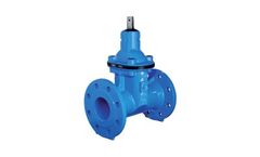 Raci - Model 1041 , 1042 & 1051 - Flanged Ends Gate Valves