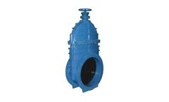 Raci - Model 11010 & 11020 - Big Size Flanged Ends Gate Valves