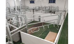 Jetwash - Pig Penning