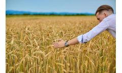 Food and Feed Industry Software for Food Industry