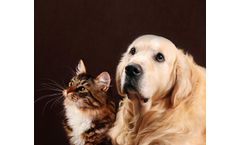 Food and Feed Industry Software for Pet Food Industry