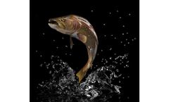 Food and Feed Industry Software for Aqua Feed Industry