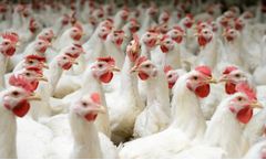 Food and Feed Industry Software for Premix