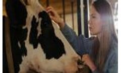 Feature of the month: Animal cycle, flock and livestock management in MILAS