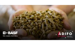 BASF and Adifo Software partner on optimizing feed formulation, supporting a more sustainable animal protein production