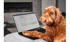 Navigating pet food quality: A strategic approach to minimize recalls and ensure pets wellness