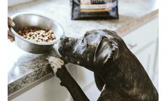 Pet Food: How to manage portions and be flexible in formulating