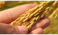 Raw material sourcing and risk management in BESTMIX ERP
