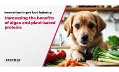 Innovations in pet food industry: Harnessing the benefits of algae and plant-based proteins