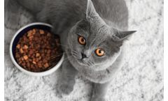 BESTMIX - Recipe Management (Pet Food)