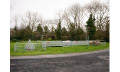 Cormac - Sheep Handling Race with Guillotine Gate and Footbaths