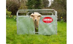 Cormac - Lambing Adoption Front