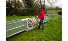 Cormac - Sheep Roll Over Crate