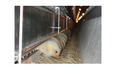 COMFORT - Model P80 / P66 - Rearing Housing Systems
