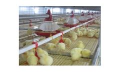 Facco - Model B3-B3 MAX - Multi Tier Caged Broiler