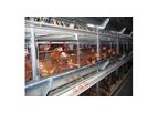 Facco - Model C3 - Poultry Layer Housing Systems