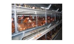 Facco - Model C3 - Poultry Layer Housing Systems