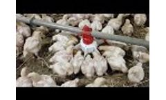 Facco- Broiler floor systems - Video