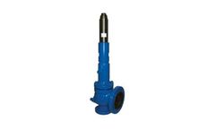 Sarasin-RSBD - Safety Valve