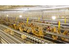 Tecno - Model Ideal FAS - Aviary Pullet Rearing System