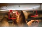 Tecno - Model AS 380 - Aviaries System for Layers