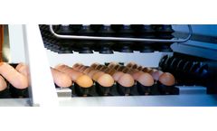 VDL Jansen - Poultry Egg Packer for Hatching Eggs