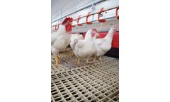 VDL Jansen - Breeder Slats