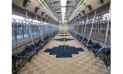 Milking Parlours