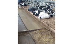 Manure Handling System