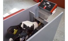 HygieneSet - Model UV-C - Low-Germ Drinking Teats System for Optimal Calf Health