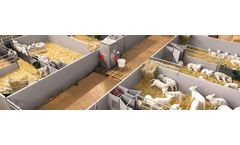 Urban - Lamb and Kid Rearing Planning Services