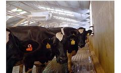 Versa - Cooling System