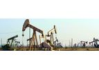 Oil and Gas Industry (FH – Guar)