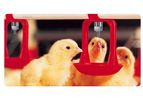 Lubing - Floor Watering System with Cups for Broilers