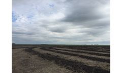 AGREM - Professional Software