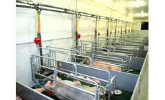 TEWE Elektronic - Sow Pneumatic Feeding