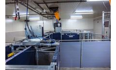 TEWE Elektronic - Sorting Gate - On Demand