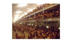Potters - Poultry Multi-Tier Aviary System
