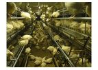 Potters - Aviary Rearing Systems