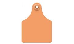 Global - Model Maxi - Two Piece Cattle Female Tags