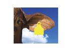 Global - Large Two Piece Cattle Female Female Tags
