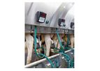 Allflex - Milking Intelligence Modular Systems