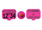 Destron Fearing - Official USDA Swine Premises Tags